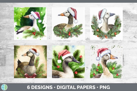 Christmas Barn Goose Backgrounds Digit Illustrations
