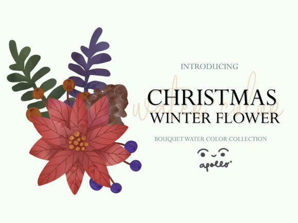 Christmas Flower Winter Watercolor 01 Illustrations